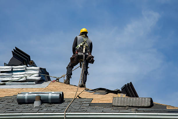 Professional Gutter Installation technician working in Piney Woods, MS